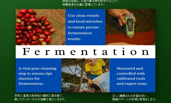 Slide 17