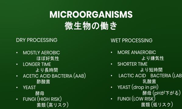 Slide 19