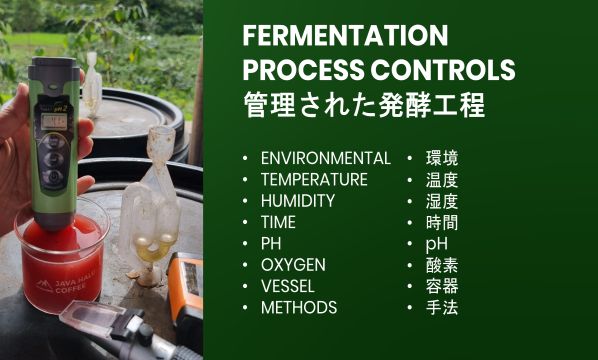 Slide 23