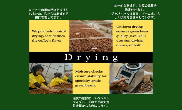 Slide 24