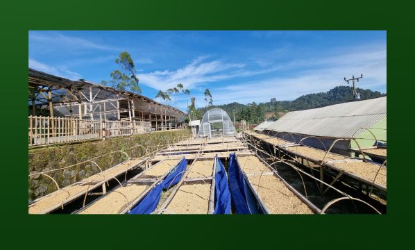 Slide 25