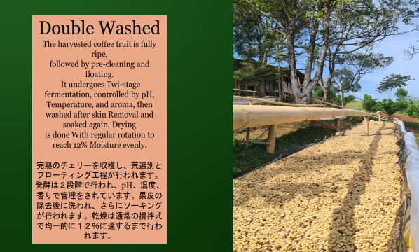 Slide 29