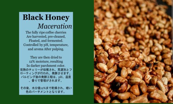 Slide 31