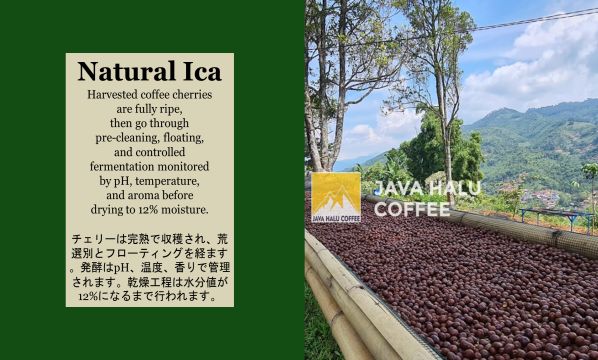 Slide 33