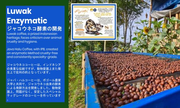 Slide 35