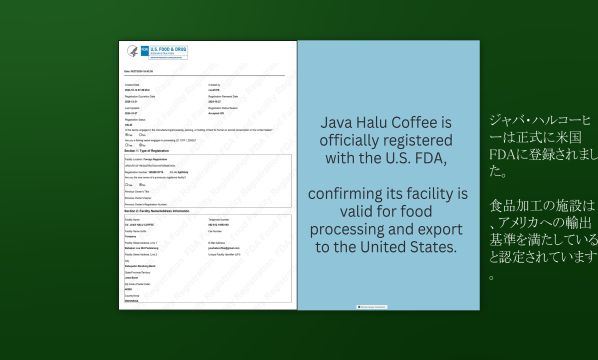 Slide 9